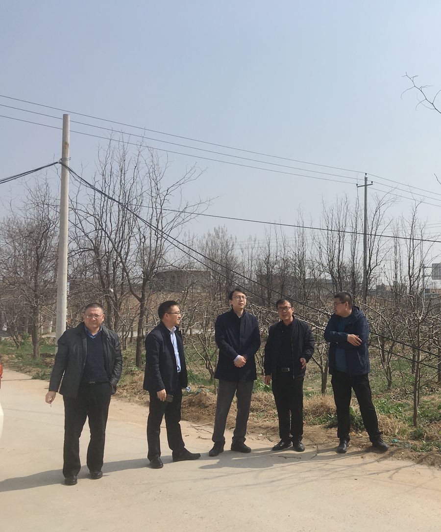 范樂偉檢查指導(dǎo)空港新城項(xiàng)目
