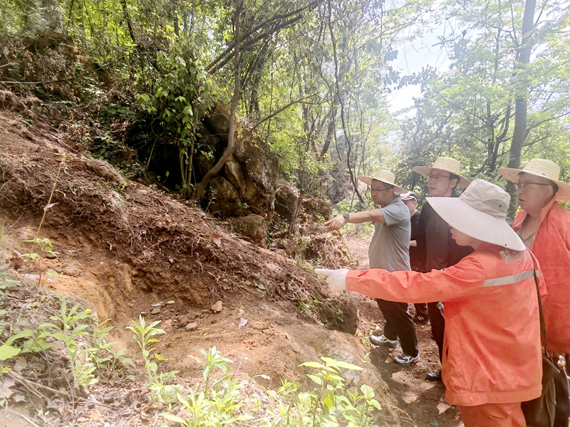 范樂偉一行赴漢中項目檢查指導工作